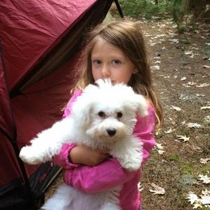 Meet your Posher, Bridget